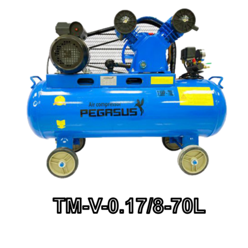 TM-V-0.17/8-70L