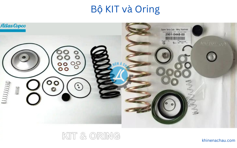 KIT và oring